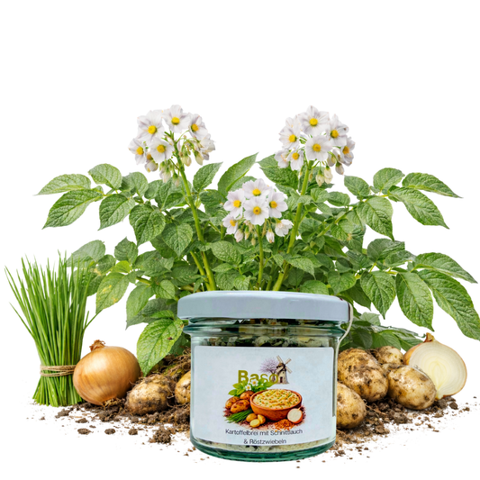 Bio Instant Kartoffelbrei mit Schnittlauch & Röstzwiebeln Probierglas