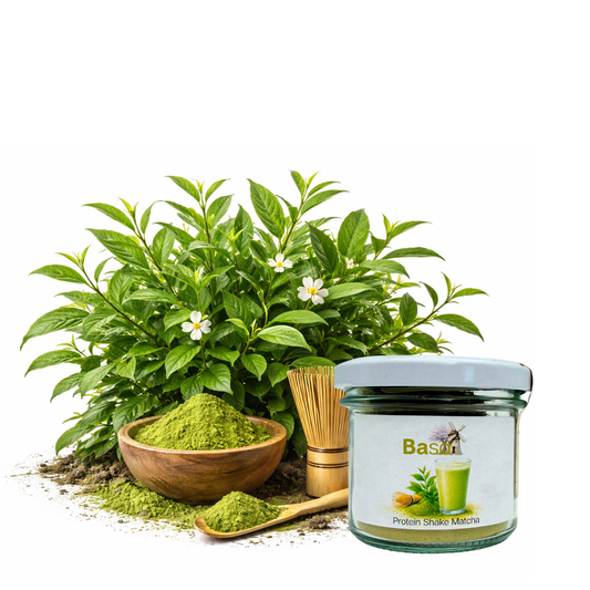 Proteinshake Matcha Probierglas