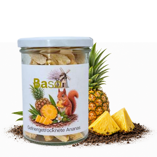 BASO Gefriergetrocknete Ananas