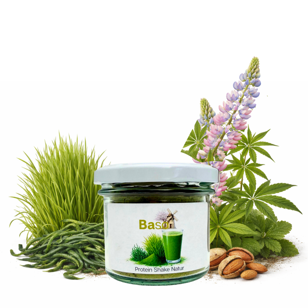 Proteinshake Natur