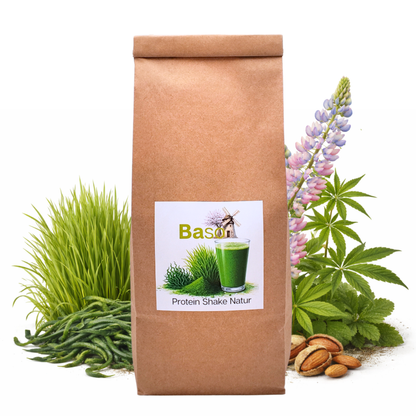 Proteinshake Natur