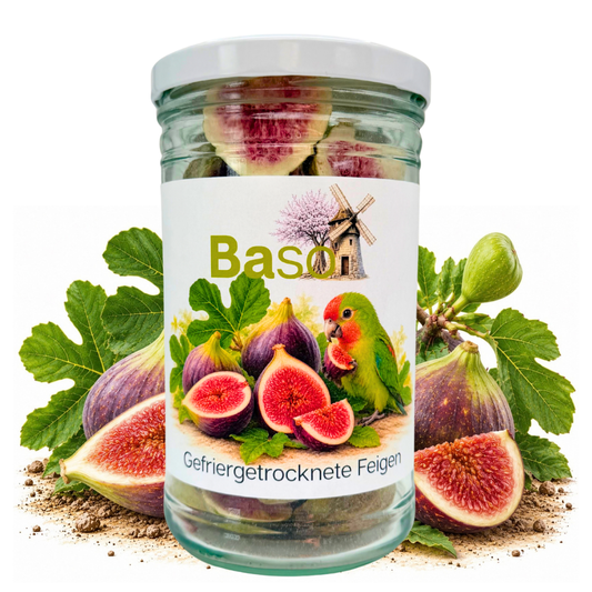 Baso gefriergetrocknete Feigen