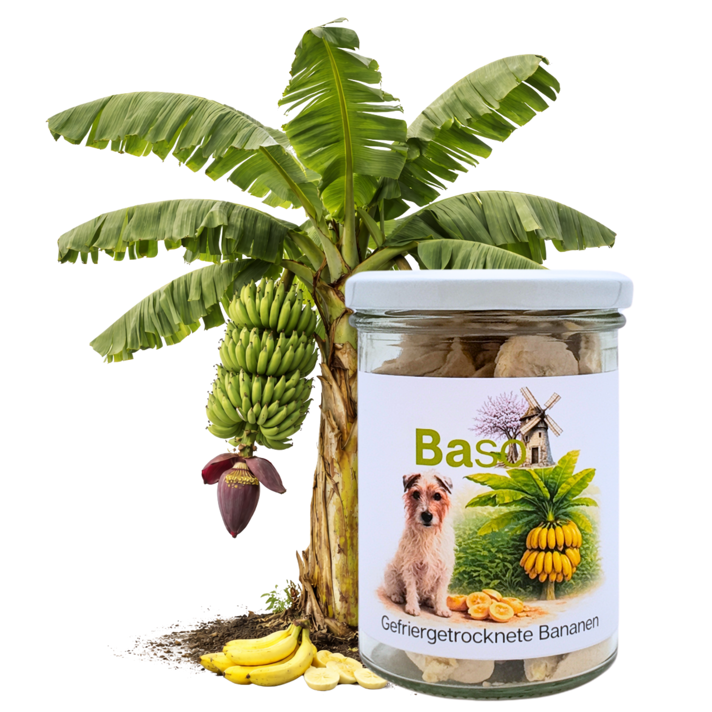 BASO Gefriergetrocknete Bananen