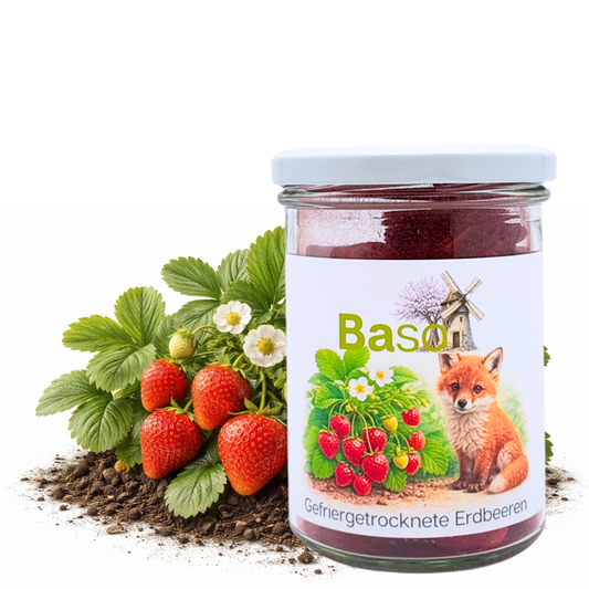 BASO Gefriergetrocknete Erdbeeren