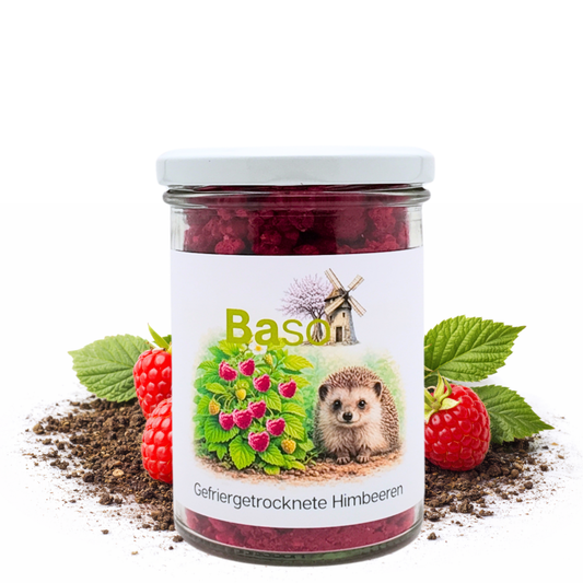 BASO Gefriergetrocknete Himbeeren