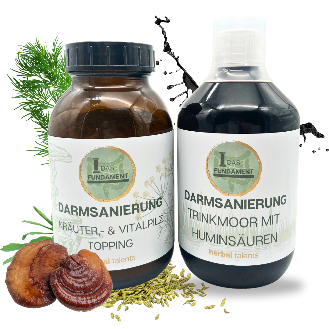 Darmsanierung Set