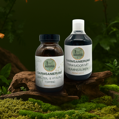 Darmsanierung Set