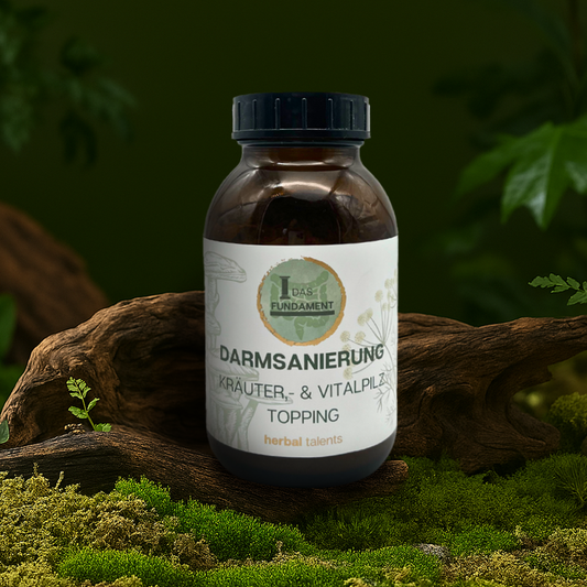 Kräuter- & Vitalpilz Topping für den Darm